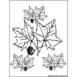 Coloring page: Fall season (Nature) #164271 - Free Printable Coloring Pages