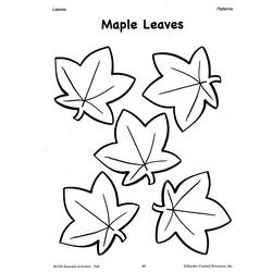 Coloring page: Fall season (Nature) #164279 - Printable coloring pages