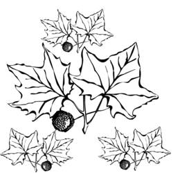 Coloring page: Fall season (Nature) #164290 - Free Printable Coloring Pages