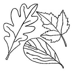 Coloring page: Fall season (Nature) #164295 - Free Printable Coloring Pages