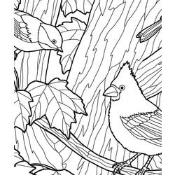 Coloring page: Fall season (Nature) #164298 - Free Printable Coloring Pages