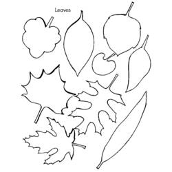 Coloring page: Fall season (Nature) #164301 - Free Printable Coloring Pages