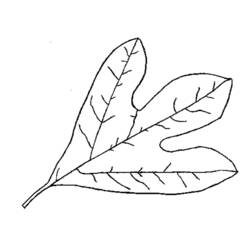 Coloring page: Fall season (Nature) #164302 - Free Printable Coloring Pages