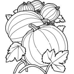 Coloring page: Fall season (Nature) #164310 - Free Printable Coloring Pages