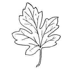 Coloring page: Fall season (Nature) #164317 - Free Printable Coloring Pages