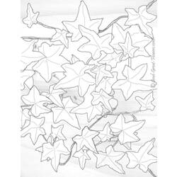 Coloring page: Fall season (Nature) #164347 - Free Printable Coloring Pages