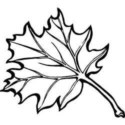 Coloring page: Fall season (Nature) #164357 - Free Printable Coloring Pages