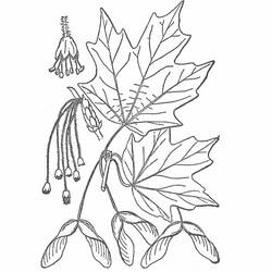 Coloring page: Fall season (Nature) #164361 - Free Printable Coloring Pages