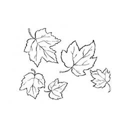 Coloring page: Fall season (Nature) #164376 - Free Printable Coloring Pages