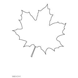 Coloring page: Fall season (Nature) #164378 - Free Printable Coloring Pages