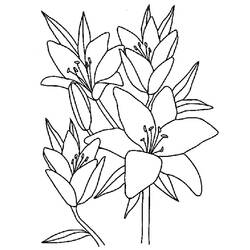 Coloring page: Flowers (Nature) #154969 - Free Printable Coloring Pages