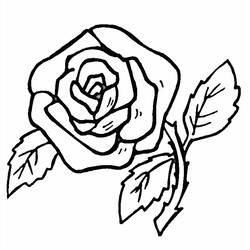 Coloring page: Flowers (Nature) #154971 - Printable coloring pages