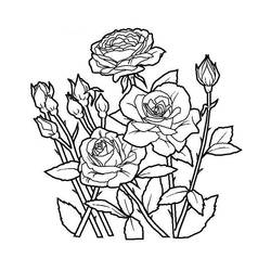 Coloring page: Flowers (Nature) #154978 - Printable coloring pages