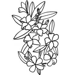 Coloring page: Flowers (Nature) #154984 - Free Printable Coloring Pages