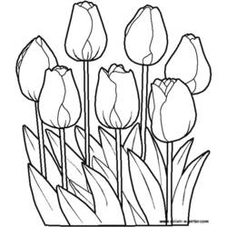Coloring page: Flowers (Nature) #154985 - Printable coloring pages