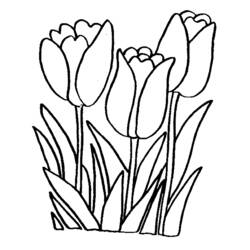 Coloring page: Flowers (Nature) #154991 - Free Printable Coloring Pages