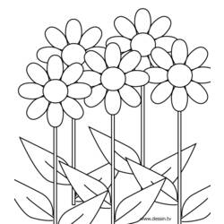 Coloring page: Flowers (Nature) #154997 - Free Printable Coloring Pages