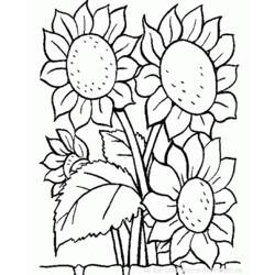 Coloring page: Flowers (Nature) #155000 - Printable coloring pages