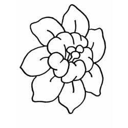 Coloring page: Flowers (Nature) #155010 - Printable coloring pages