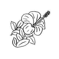 Coloring page: Flowers (Nature) #155014 - Printable coloring pages