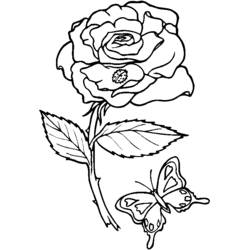 Coloring page: Flowers (Nature) #155018 - Free Printable Coloring Pages