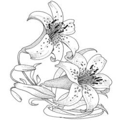 Coloring page: Flowers (Nature) #155026 - Free Printable Coloring Pages