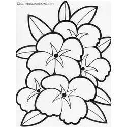 Coloring page: Flowers (Nature) #155030 - Free Printable Coloring Pages