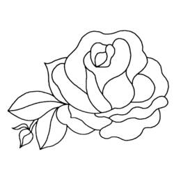 Coloring page: Flowers (Nature) #155039 - Free Printable Coloring Pages