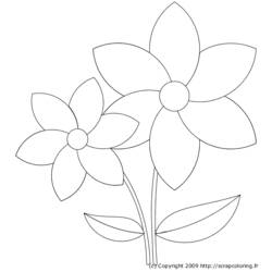 Coloring page: Flowers (Nature) #155040 - Free Printable Coloring Pages