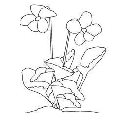 Coloring page: Flowers (Nature) #155045 - Free Printable Coloring Pages