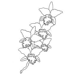 Coloring page: Flowers (Nature) #155073 - Free Printable Coloring Pages