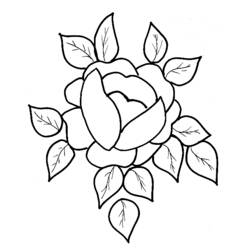 Coloring page: Flowers (Nature) #155079 - Free Printable Coloring Pages