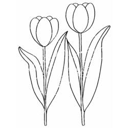 Coloring page: Flowers (Nature) #155080 - Free Printable Coloring Pages