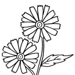 Coloring page: Flowers (Nature) #155083 - Free Printable Coloring Pages