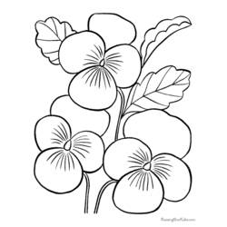 Coloring page: Flowers (Nature) #155085 - Printable coloring pages