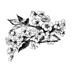 Coloring page: Flowers (Nature) #155086 - Free Printable Coloring Pages