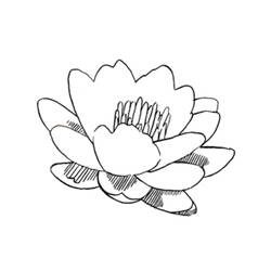 Coloring page: Flowers (Nature) #155093 - Free Printable Coloring Pages