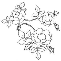 Coloring page: Flowers (Nature) #155096 - Free Printable Coloring Pages