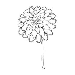 Coloring page: Flowers (Nature) #155097 - Free Printable Coloring Pages