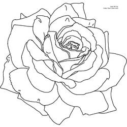Coloring page: Flowers (Nature) #155098 - Free Printable Coloring Pages