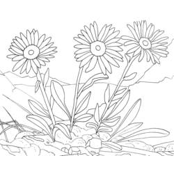 Coloring page: Flowers (Nature) #155116 - Free Printable Coloring Pages