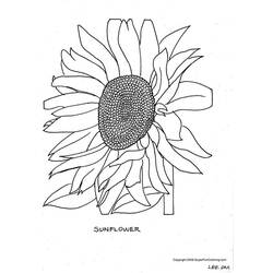 Coloring page: Flowers (Nature) #155121 - Free Printable Coloring Pages