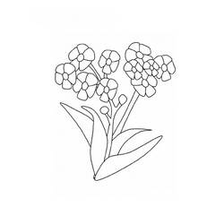 Coloring page: Flowers (Nature) #155128 - Free Printable Coloring Pages