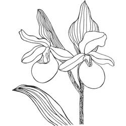 Coloring page: Flowers (Nature) #155130 - Free Printable Coloring Pages