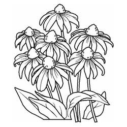 Coloring page: Flowers (Nature) #155142 - Printable coloring pages