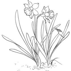 Coloring page: Flowers (Nature) #155166 - Free Printable Coloring Pages