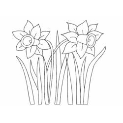 Coloring page: Flowers (Nature) #155167 - Free Printable Coloring Pages