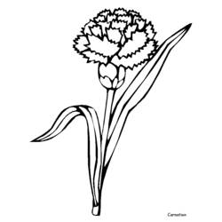 Coloring page: Flowers (Nature) #155180 - Free Printable Coloring Pages