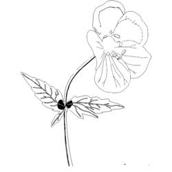 Coloring page: Flowers (Nature) #155182 - Free Printable Coloring Pages