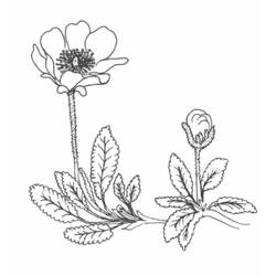 Coloring page: Flowers (Nature) #155197 - Free Printable Coloring Pages